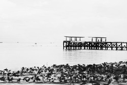 black and white wooden bridge on sea