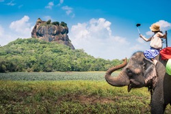 Elephant in Sigiriya lion rock, Sri Lanka