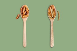 Bamboo edible worm insects crispy or Bamboo Caterpillar and Chrysalis Silkworm in wooden spoon on green colour background. The concept of protein food sources from insects. 