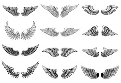Set of wings illustrations isolated on white background. Design element for logo, label, emblem, sign. Vector illustration