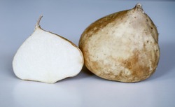Jicama or Pachyrhizus erosus on white background.