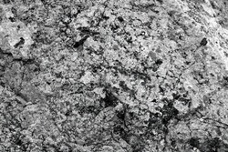 Black and white closeup version of mountain rock showing all the striations and textures and crevices