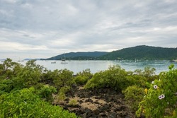 Airlie Beach, Queensland, Australia, with yachts anchored in the bay at low tide and mangroves exposed on the shoreline