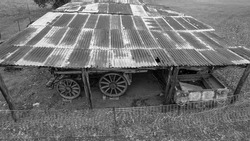A rusting old corrugated iron covers a shed full of antique vehicles, including a wagon and a car. Monotone.