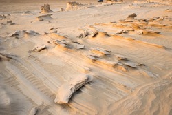 Sand fossils in the desert in Abu Dhabi, U.A.E. Different formations of desert sand and the textures. Beige natural back ground.