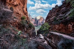 Along West Rim Trail in Zion National Park, Utah, USA