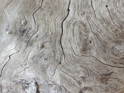 Close up old wood gain or wood pattern use for web design and abstract texture background
