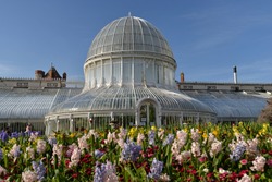 Botanic Gardens in Belfast, United Kingdom, Europe