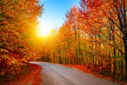 Asphalt road in the dazzling beauty of autumn colors. Uludag mountain national park, Bursa.