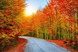 road in forest in colorful autumn season. Highway view in autumn. colorful autumn highway view. Colorful trees and footpath road in autumn landscape in deep forest. Uludag mountain, Bursa, Turkey.