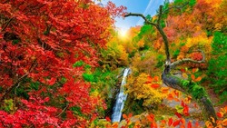 Panoramic waterfall view in nature. colorful waterfall scene in autumn. autumn colors at the waterfall. Autumn landscape in deep forest. colorful autumn scenery. colorful nature scenery in the canyon.