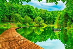 Summer landscape in forest with beautiful lake. view of the lake in the forest. green lake landscape in nature of europe. nature scenery background theme. Nature travel in the forests of Europe.