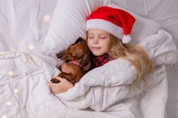 a cute little blonde girl in a Santa hat and pajamas is sleeping in bed with her beloved pet dog dachshund. a child sleeps in bed with a dog. High quality photo