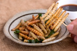 Food Insects: Woman's hand holding Bamboo worm Caterpillar insect fried crispy for eating as food items in plate and sauce on sackcloth, it is good source of protein edible for future food concept.