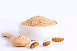Silkworm Pupae (Bombyx Mori) powder. Insects flour for eating as food items made of cooked insect meat in bowl and spoon on white background is good source of protein edible for entomophagy concept.