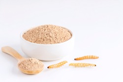 Bamboo worm powder. Bamboo Caterpillar flour for Insects eating as food edible items made of cooked insect meat in bowl and spoon on white background is good source of protein. Entomophagy concept.