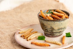 Food Insects: Bamboo worm or Bamboo Caterpillar insect fried crispy for eating as food items in bowl and plate ceramic on sackcloth, it is good source of protein edible for future food concept.
