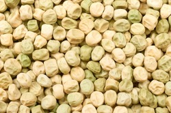bean dried pea seeds for sowing Dried green peas background