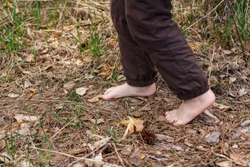 baby bare feet are on the ground, dry leaves and grass