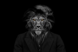 Lion , mammal animal , black white wildlife perfect for poster and canvas	