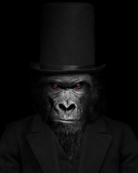 Man in the form of a Gorilla mammal , The Gorilla person , animal face isolated black white
