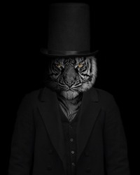 Man in the form of a Tiger mammal , The Tiger person , animal face isolated black white