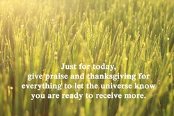 Inspirational motivational quote-Just for today, give praise and thanksgiving for everything to let the universe know you are ready to receive more. With morning sunrise light over the field meadow.