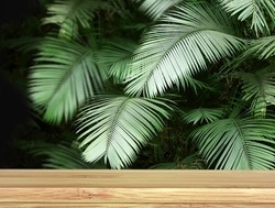 Old wooden table and palm leaves. Empty wooden table top and green tropical plant leaf on black background. Rustic wooden board on nature backdrop. Product display template. Copy space for text