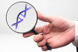 DNA disease concept. A break in genome molecule like sivol DNA disease. Genome molecule under a magnifying glass. Hand with a magnifying glass on a white background. DNA disease in genetics