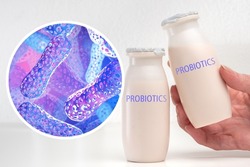 Probiotic products. Concept - yoghurt with probiotic content. Microbiome on purple background. Bifidobacteria for immunity. Probiotics in human hand. White bylots with anaerobic bacteria.