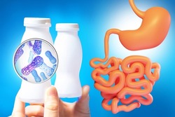 Probiotic bacteria. Beneficial substances for gastrointestinal tract. Probiotics near human stomach. Onions with white bottles containing probiotics. Beneficial bacteria and microorganisms