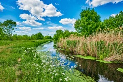 Blue and cloudy sky over a little creek in the surrounding countryside of Berlin, Germany.