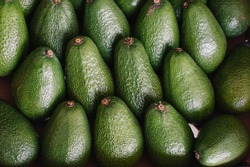 Avocado. box with green fruit reaching. very good for health fruit enriched with vitamins
