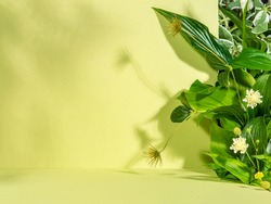  Minimalist botanical background with copy space. Creative showcase with fresh plants for product demonstration, promotion sale, packaging presentation or merchandise. Light and shadow. Front view.
