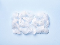 Snowy white feathers on light blue paper backdrop. Lightness and pureness concept. Background for cosmetics advertisement. Podium, pedestal for new product.