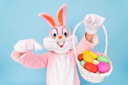 Easter bunny or rabbit or hare with basket of colored eggs, shows thumb finger up, having fun, dancing, celebrates Happy easter. Easter rabbit isolated on blue background
