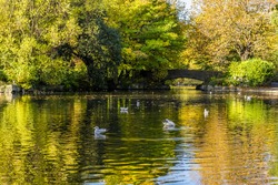 A bright Autumn day watching the ducks in St Stephen's Green Park, Dublin, Ireland