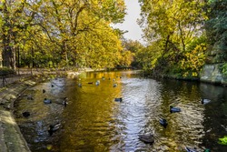 Ducks enjoying a bright autumn day in St Stephen's Green Park, Dublin, Ireland