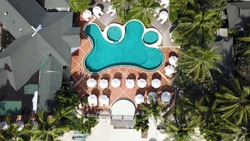 Aerial view on luxury house at the beach with palm trees and swimming pool. Top view of houses on the palm beach, pool and boat near a wooden pier. Aerial Top view landscape.