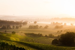 Sunrise over Hunter Valley vineyards