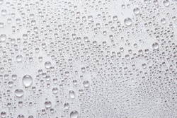 Water rain drops or water drops on white background. Many water drops on background