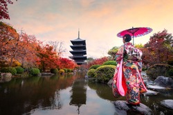 Young Japanese girl traveller in traditional kimino dress standing in Toji temple with wooden pagoda and red maple leaf in autumn season in Kyoto, Japan. Japan tourism, nature life, or landscape most.