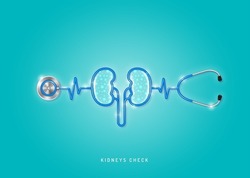Healthcare and medical concept stethoscope shape kidneys and checkup all organs. wishing you stay in good health. vector illustration