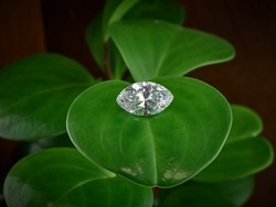 Marquise Cut Lab Grown Diamond on Green Leaf 