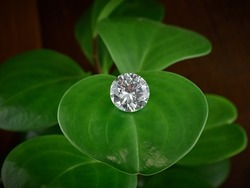Round Diamond on Green Leaf Background