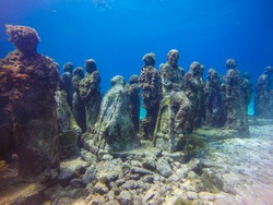 diving in the ocean. underwater