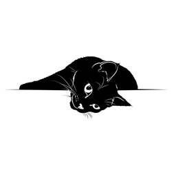 Vector illustration. Ad space. Black silhouette of a cat.EPS 8