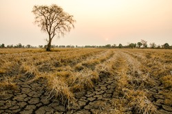 ground drought