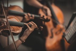 String quartet with cello in the background - Wallpaper, Background