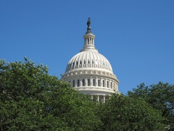 The dome of the Capitol in Washington D.C. that protrudes above the canopy.